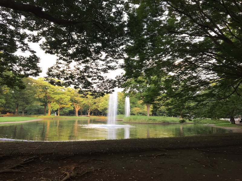 yoyogi.jpg