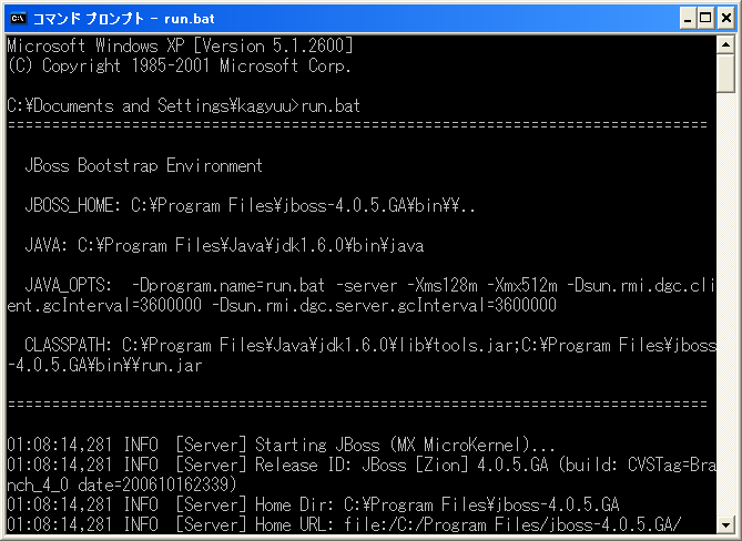 jbossRun1.png