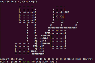 nethack.png